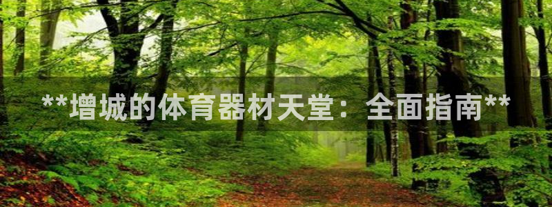 杏宇平台代理怎么做：**增城的体育器材天堂：全面指南