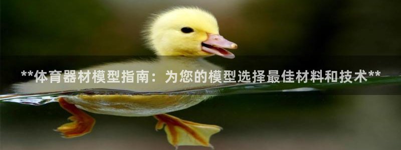 杏宇平台告7O777：**体育器材模型指南：为您的模