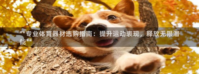 杏宇娱乐登录注册：**专业体育器材选购指南：提升运动