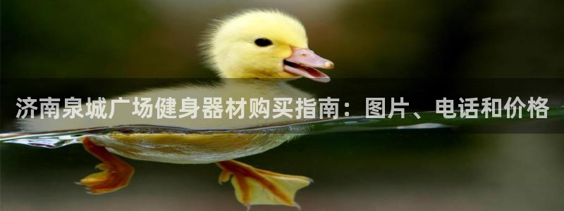 杏宇娱乐官网首页登录不了：济南泉城广场健身器材购买指