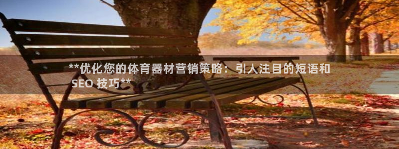 杏宇登场一样的词：**优化您的体育器材营销策略：引人