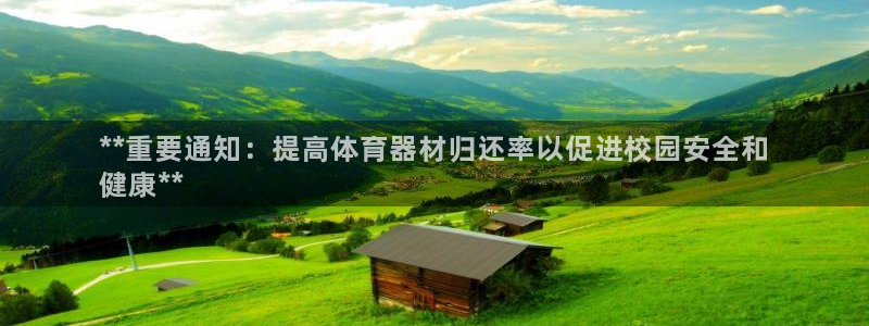 杏宇什么意思：**重要通知：提高体育器材归还率以促进