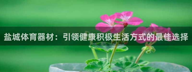 杏宇娱乐安全吗：盐城体育器材：引领健康积极生活方式的