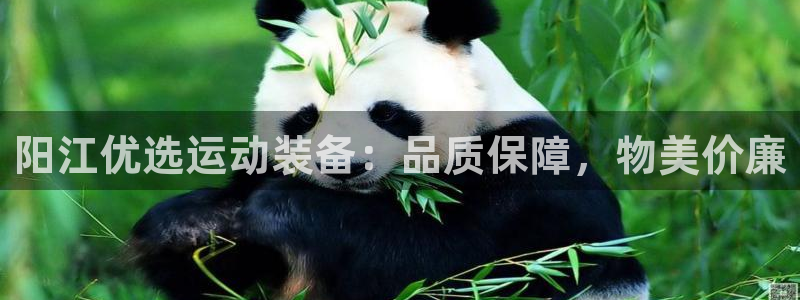 杏宇登场的图片：阳江优选运动装备：品质保障，物美价廉