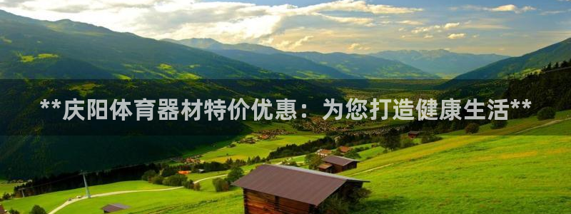 杏宇娱乐官方网站下载：**庆阳体育器材特价优惠：为您