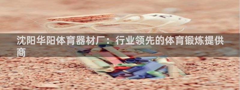 杏宇娱乐是不是很黑呀：沈阳华阳体育器材厂：行业领先的
