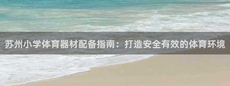 杏宇天下：苏州小学体育器材配备指南：打造安全有效的体