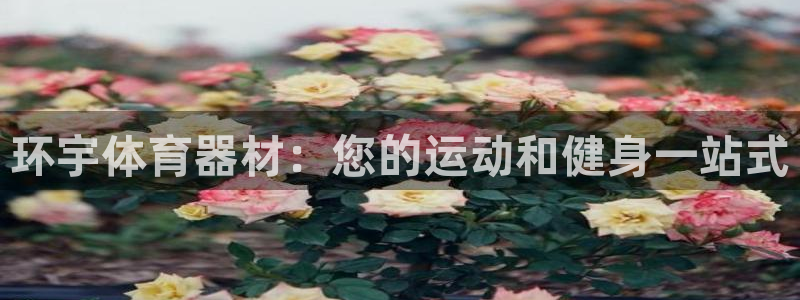 杏宇娱乐出款快吗是真的吗：环宇体育器材：您的运动和健