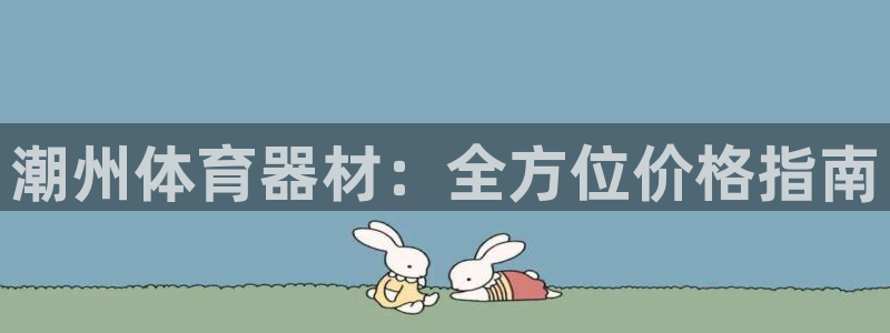 杏宇圣主：潮州体育器材：全方位价格指南