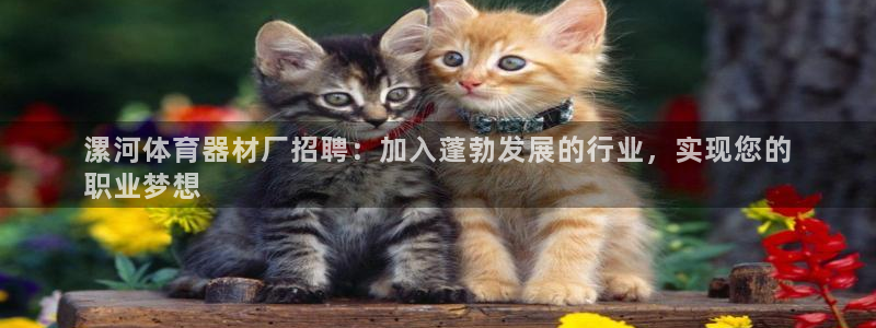 杏宇平台开户联4.8.7.7.8.4他系稳定吗：漯河