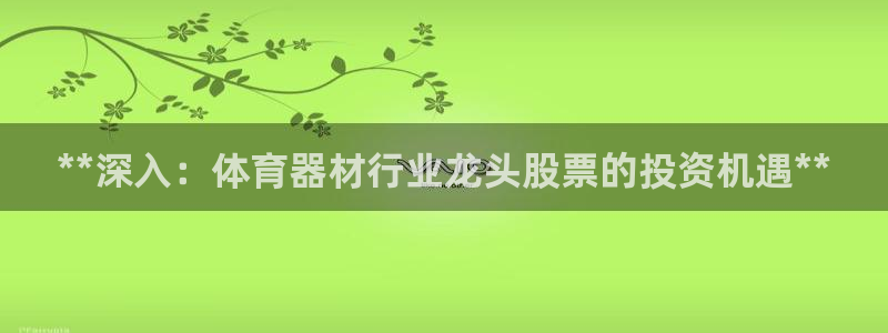 杏宇娱乐返点多少钱：**深入：体育器材行业龙头股票的