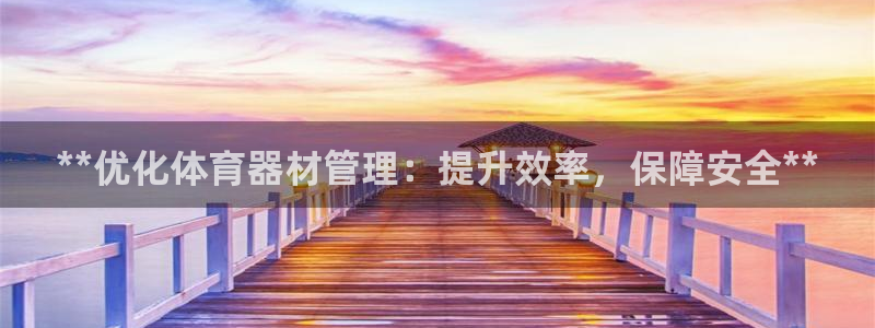 杏宇娱乐脚本下载官网：**优化体育器材管理：提升效率