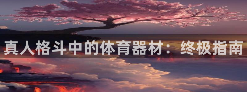 杏宇平台注册最新地址查询：真人格斗中的体育器材：终极