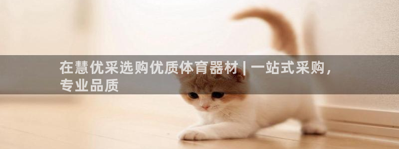 杏宇璀璨什么意思：在慧优采选购优质体育器材 | 一站