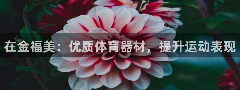 杏宇平台最新注册地址是哪里的：在金福美：优质体育器材